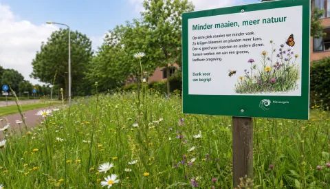 Nieuwegein legt natuurregels vast: minder maaien past in bredere koers voor groenbeheer