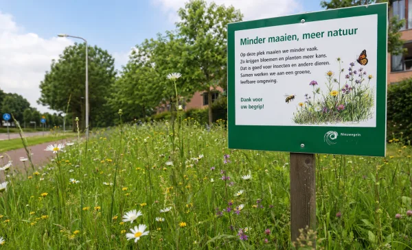 Nieuwegein legt natuurregels vast: minder maaien past in bredere koers voor groenbeheer