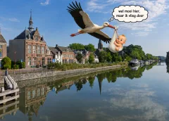 De ooievaar vliegt Nieuwegein steeds vaker voorbij