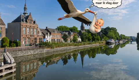 De ooievaar vliegt Nieuwegein steeds vaker voorbij