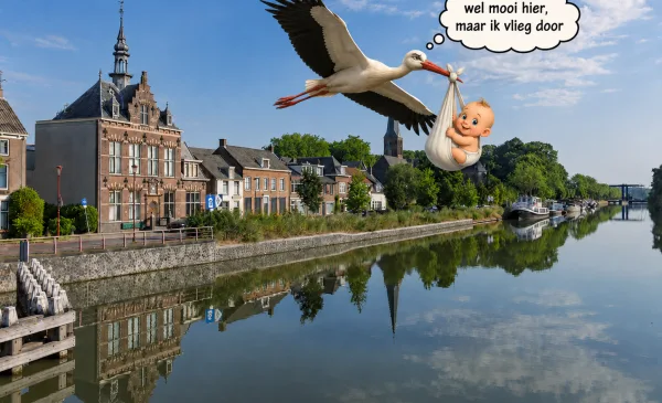 De ooievaar vliegt Nieuwegein steeds vaker voorbij