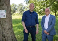 Nieuwegein zet bordjes bij bomen die verdwijnen: ‘Waarom wordt deze boom weggehaald?’