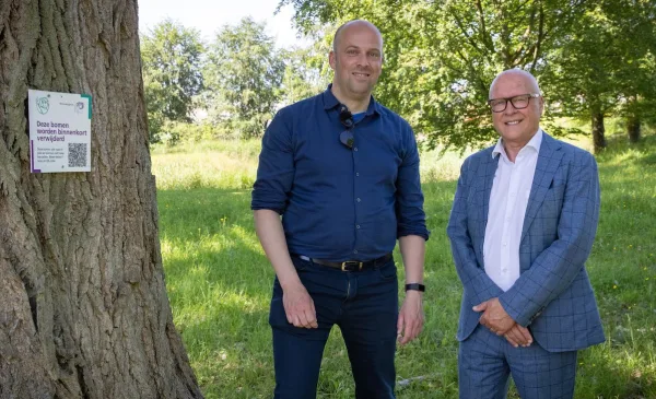 Nieuwegein zet bordjes bij bomen die verdwijnen: ‘Waarom wordt deze boom weggehaald?’
