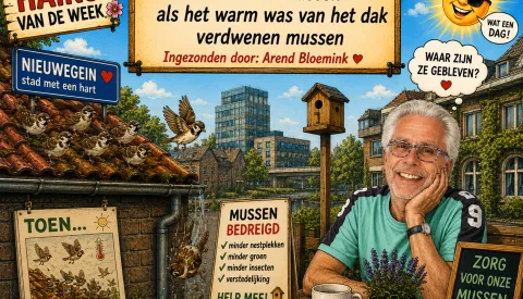 ‘Haiku van de week’