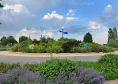 ‘Foto van de week’