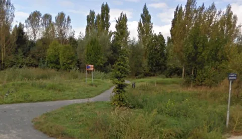 Drie dode bomen weg uit Rundubosje, gemeente werkt aan beheerplan voor geliefd stukje Galecop