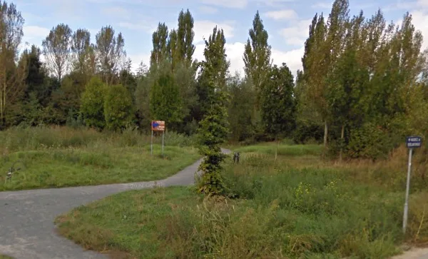 Drie dode bomen weg uit Rundubosje, gemeente werkt aan beheerplan voor geliefd stukje Galecop