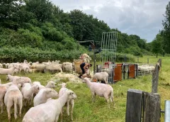 ‘Foto van de week’