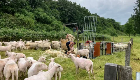 ‘Foto van de week’