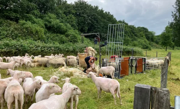 ‘Foto van de week’