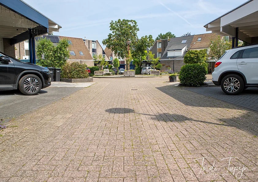 Slobeend