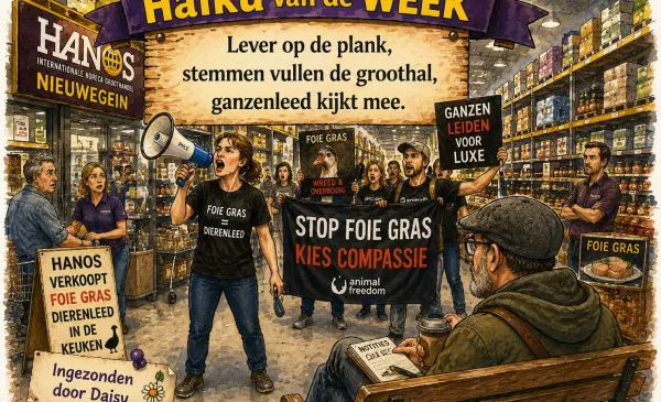 ‘Haiku van de week’