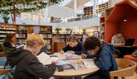 Gratis zomerlessen in de bieb voor kinderen met Nieuwegein Stadspas
