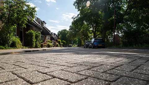 ‘De Sneeuwgans’