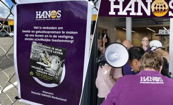 Activisten trekken HANOS Nieuwegein binnen tijdens protest tegen foie gras