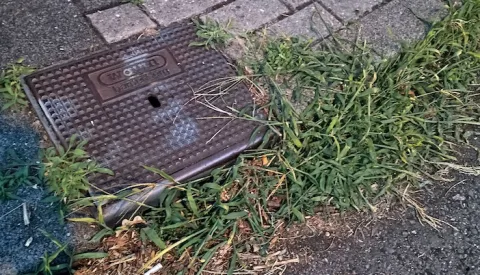 Bewoners Wijkersloot storen zich aan wildgroei rond putten en stoepen