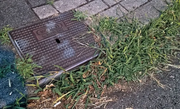 Bewoners Wijkersloot storen zich aan wildgroei rond putten en stoepen